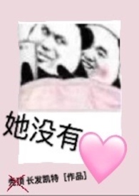 她没有心歌手介绍